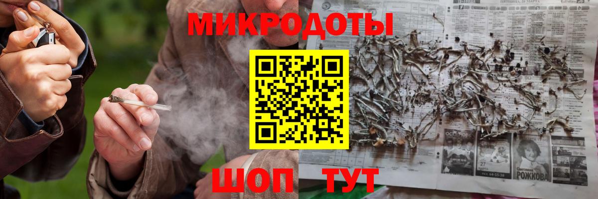 Галлюциногенные грибы Psilocybe Курчатов